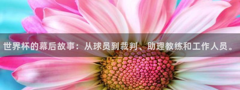 2026世界杯预选赛:世界杯的幕后故事:从球员到裁判、助理教练和工作人员。