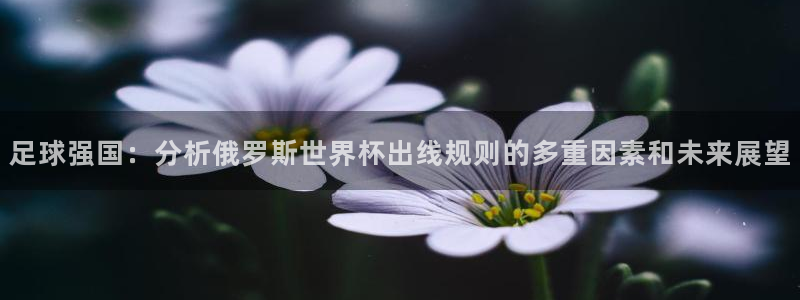 世界杯球赛:足球强国:分析俄罗斯世界杯出线规则的多重因素和未来展望