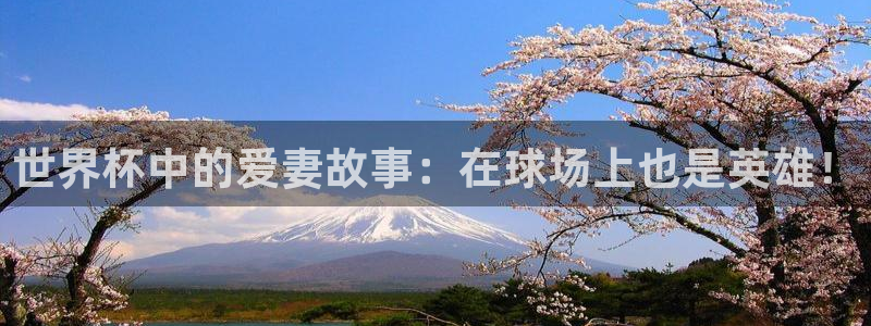 世界杯预选赛2026:世界杯中的爱妻故事:在球场上也是英雄!