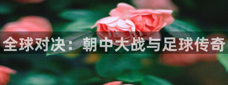 2026世界杯赛:全球对决:朝中大战与足球传奇