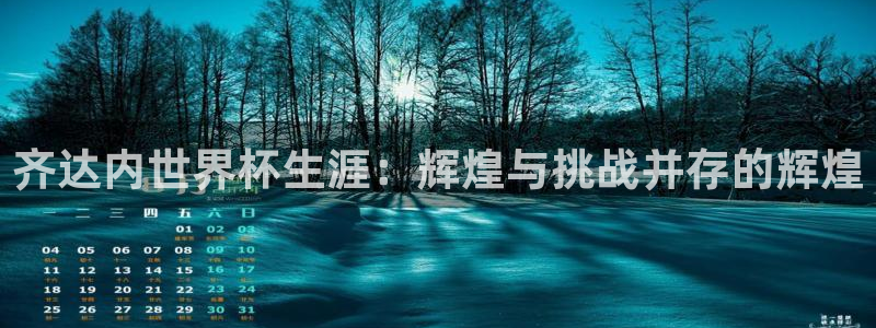 中国 世界杯:齐达内世界杯生涯:辉煌与挑战并存的辉煌
