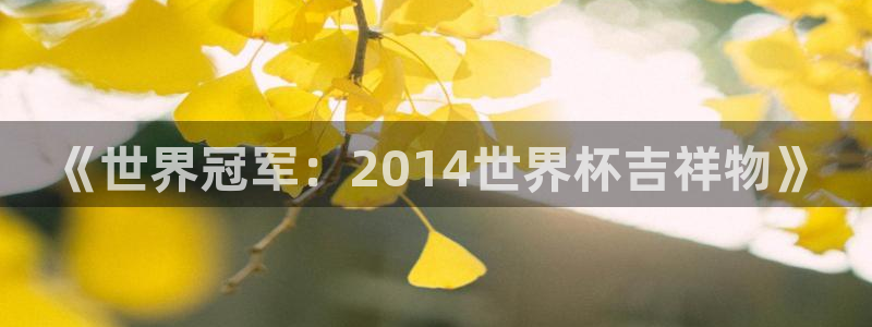 世界杯对阵图2026:《世界冠军:2014世界杯吉祥物》
