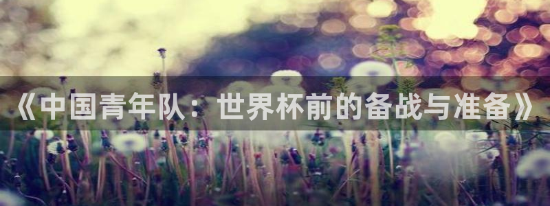 世界杯球赛:《中国青年队:世界杯前的备战与准备》