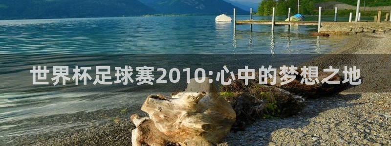2026世界杯亚洲区预选赛赛程:世界杯足球赛2010:心中的梦想之地