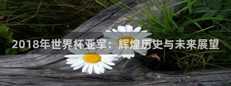 世界杯足球直播:2018年世界杯亚军:辉煌历史与未来展望