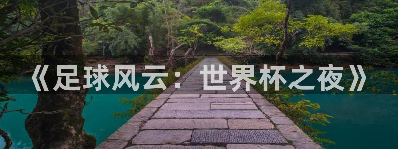世俱杯直播:《足球风云:世界杯之夜》